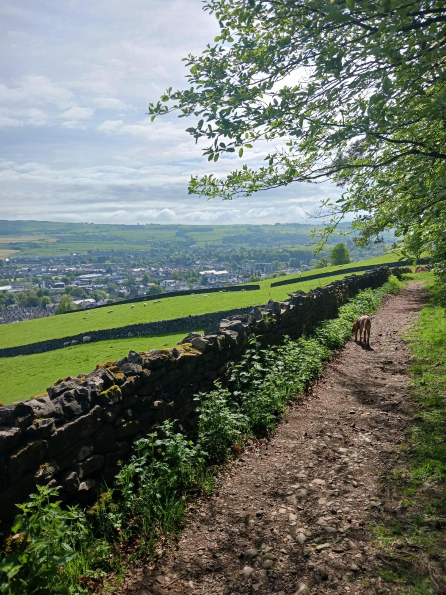 Arthurs Cottage -Charming Courtyard Cottage In The Heart Of Kendal, The Lake District מראה חיצוני תמונה