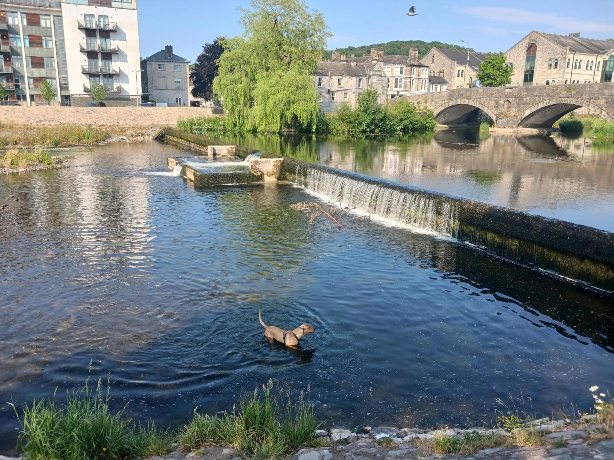 Arthurs Cottage -Charming Courtyard Cottage In The Heart Of Kendal, The Lake District מראה חיצוני תמונה